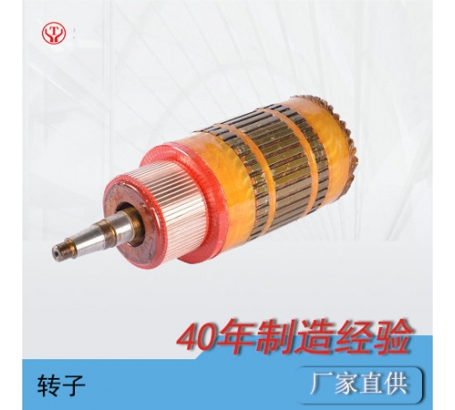 ZQ-1.9輔助直流牽引電機(jī)電樞（250V，550V）